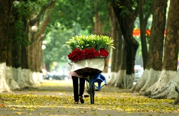 Explore Hanoi like a Local